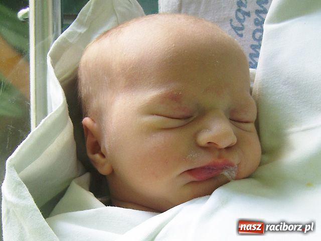 Zdjęcie w galerii na portalu naszraciborz.pl: Wielka radość w rodzinie Trybusiów wiadomości z regionu