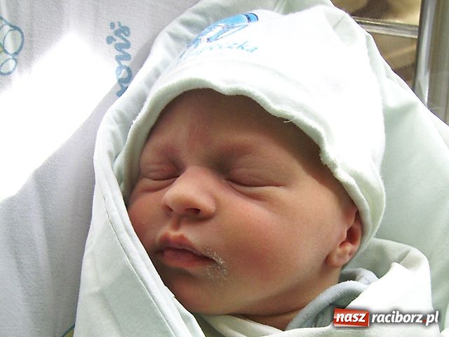 Zdjęcie w galerii na portalu naszraciborz.pl: Wielka radość w rodzinie Trybusiów wiadomości z regionu