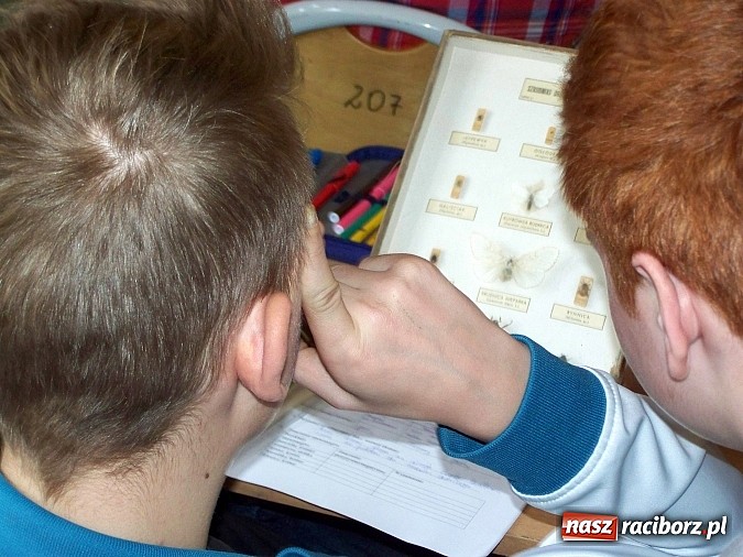 Zdjęcie w galerii na portalu naszraciborz.pl: Lekcja otwarta z biologii w G5 wiadomości z regionu