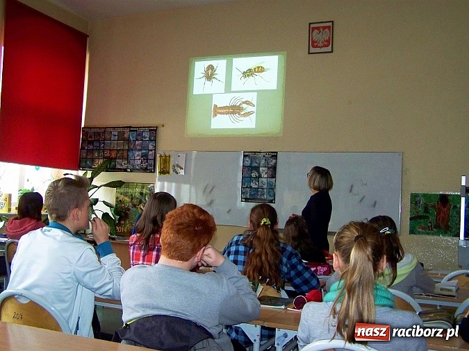 Zdjęcie w galerii na portalu naszraciborz.pl: Lekcja otwarta z biologii w G5 wiadomości z regionu