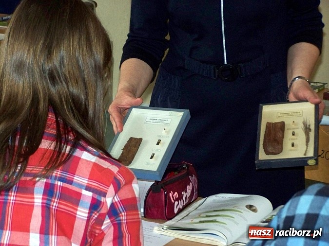 Zdjęcie w galerii na portalu naszraciborz.pl: Lekcja otwarta z biologii w G5 wiadomości z regionu