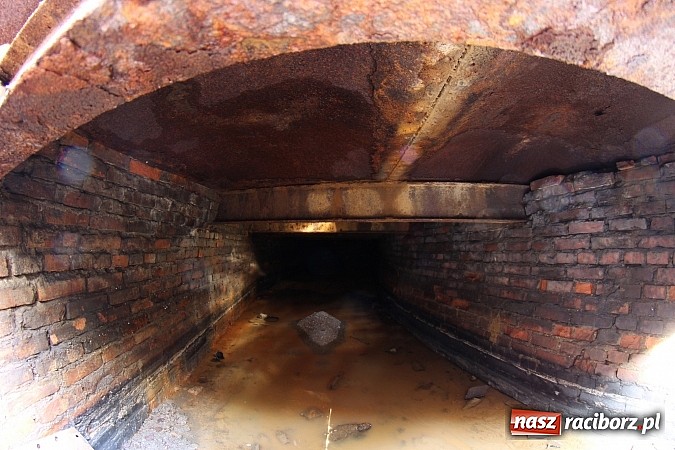 Zdjęcie w galerii na portalu naszraciborz.pl: Odkryto kolejny fragment kanału Psinki  wiadomości z regionu