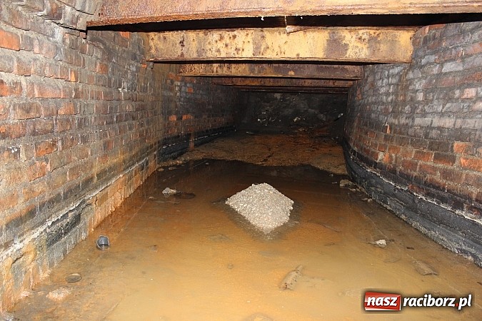 Zdjęcie w galerii na portalu naszraciborz.pl: Odkryto kolejny fragment kanału Psinki  wiadomości z regionu