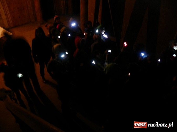 Zdjęcie w galerii na portalu naszraciborz.pl: Młodzi czytelnicy zwiedzili stary pałac w Krowiarkach w rocznicę urodzin Andersena wiadomości z regionu