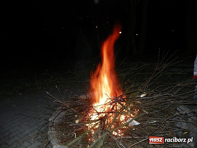 Zdjęcie w galerii na portalu naszraciborz.pl: Młodzi czytelnicy zwiedzili stary pałac w Krowiarkach w rocznicę urodzin Andersena wiadomości z regionu