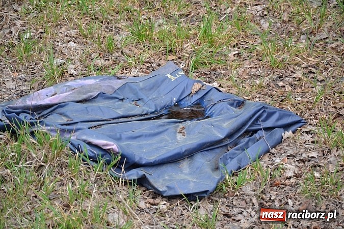 Zdjęcie w galerii na portalu naszraciborz.pl: Syzyfowa praca jednak popłaca! wiadomości z regionu