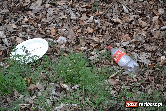 Zdjęcie w galerii na portalu naszraciborz.pl: Syzyfowa praca jednak popłaca! wiadomości z regionu