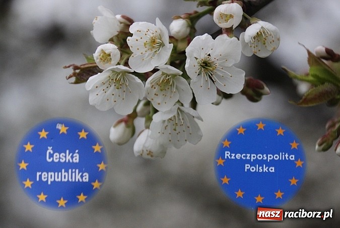 Zdjęcie w galerii na portalu naszraciborz.pl: Polsko-czeskie spotkanie wielkanocne w Czechach wiadomości z regionu