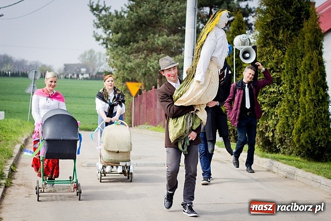 Zdjęcie w galerii na portalu naszraciborz.pl: Marzanna i Marzyniok w Samborowicach wiadomości z regionu