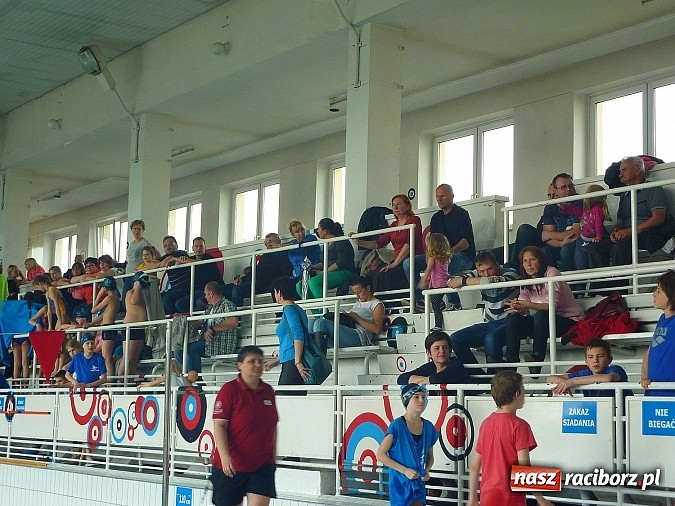 Zdjęcie w galerii na portalu naszraciborz.pl: Pływanie: SP 15 i GMS w finale wiadomości z regionu