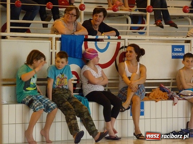 Zdjęcie w galerii na portalu naszraciborz.pl: Pływanie: SP 15 i GMS w finale wiadomości z regionu