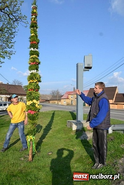 Zdjęcie w galerii na portalu naszraciborz.pl: W Jankowicach stanęła palma wielkanocna wiadomości z regionu