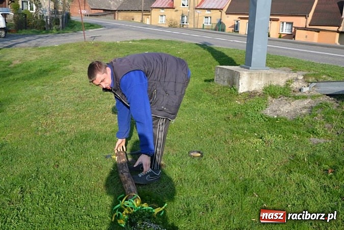 Zdjęcie w galerii na portalu naszraciborz.pl: W Jankowicach stanęła palma wielkanocna wiadomości z regionu