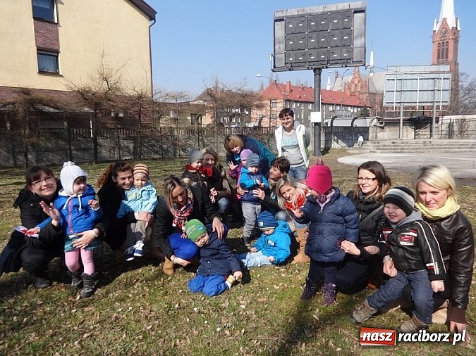 Zdjęcie w galerii na portalu naszraciborz.pl: Piękna wiosna w Fiku-miku wiadomości z regionu