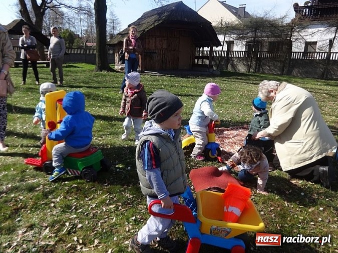 Zdjęcie w galerii na portalu naszraciborz.pl: Piękna wiosna w Fiku-miku wiadomości z regionu