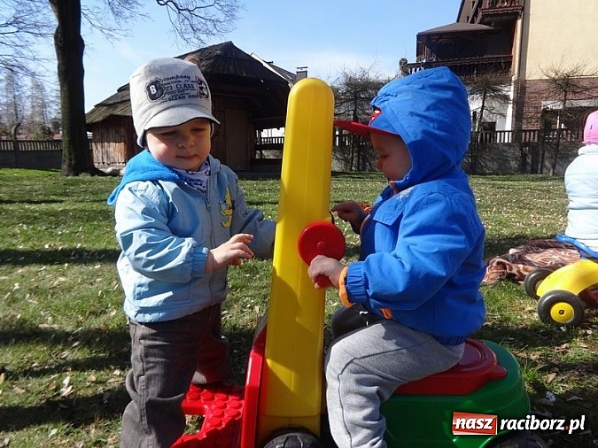 Zdjęcie w galerii na portalu naszraciborz.pl: Piękna wiosna w Fiku-miku wiadomości z regionu