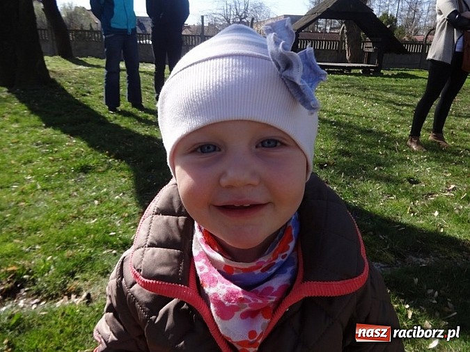 Zdjęcie w galerii na portalu naszraciborz.pl: Piękna wiosna w Fiku-miku wiadomości z regionu