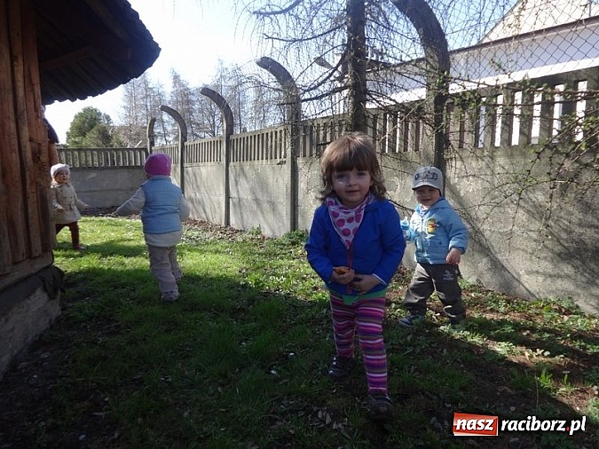 Zdjęcie w galerii na portalu naszraciborz.pl: Piękna wiosna w Fiku-miku wiadomości z regionu