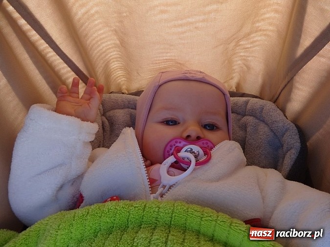 Zdjęcie w galerii na portalu naszraciborz.pl: Piękna wiosna w Fiku-miku wiadomości z regionu