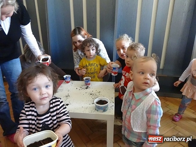 Zdjęcie w galerii na portalu naszraciborz.pl: Piękna wiosna w Fiku-miku wiadomości z regionu