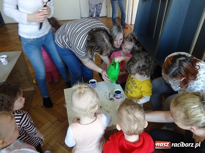 Zdjęcie w galerii na portalu naszraciborz.pl: Piękna wiosna w Fiku-miku wiadomości z regionu