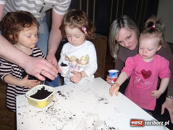 Zdjęcie w galerii na portalu naszraciborz.pl: Piękna wiosna w Fiku-miku wiadomości z regionu