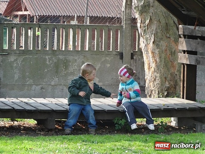 Zdjęcie w galerii na portalu naszraciborz.pl: Piękna wiosna w Fiku-miku wiadomości z regionu