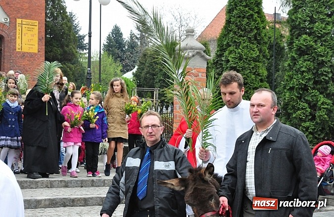 Zdjęcie w galerii na portalu naszraciborz.pl: Dziś Niedziela Palmowa. W Kościele katolickim początek Wielkiego Tygodnia wiadomości z regionu