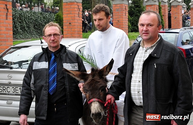Zdjęcie w galerii na portalu naszraciborz.pl: Dziś Niedziela Palmowa. W Kościele katolickim początek Wielkiego Tygodnia wiadomości z regionu
