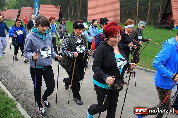 Zdjęcie w galerii na portalu naszraciborz.pl: 90 zawodników ruszyło w drogę z kijkami. Marsz Nordic Walking wokół Leśnej Polany wiadomości z regionu