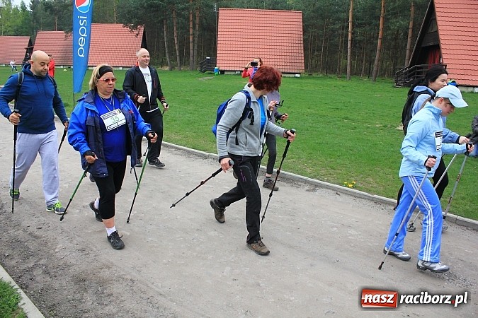 Zdjęcie w galerii na portalu naszraciborz.pl: 90 zawodników ruszyło w drogę z kijkami. Marsz Nordic Walking wokół Leśnej Polany wiadomości z regionu
