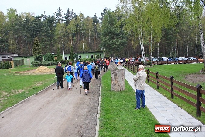 Zdjęcie w galerii na portalu naszraciborz.pl: 90 zawodników ruszyło w drogę z kijkami. Marsz Nordic Walking wokół Leśnej Polany wiadomości z regionu
