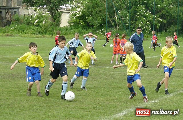 Zdjęcie w galerii na portalu naszraciborz.pl: IX edycja turnieju piłkarskiego dziesięciolatków wiadomości z regionu