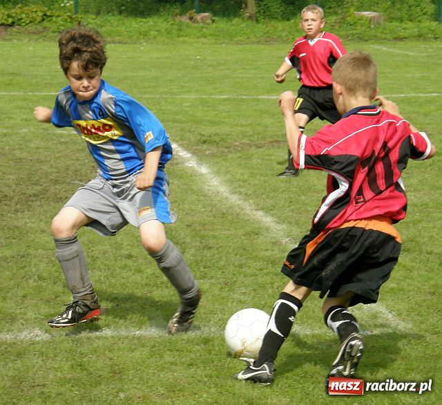 Zdjęcie w galerii na portalu naszraciborz.pl: IX edycja turnieju piłkarskiego dziesięciolatków wiadomości z regionu