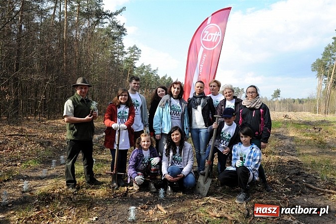 Zdjęcie w galerii na portalu naszraciborz.pl: Dzieci posadziły 500 drzew w ramach edukacyjnej akcji Plant-for-the-Planet wiadomości z regionu