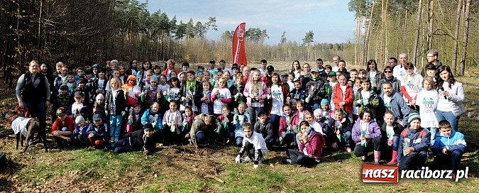 Zdjęcie w galerii na portalu naszraciborz.pl: Dzieci posadziły 500 drzew w ramach edukacyjnej akcji Plant-for-the-Planet wiadomości z regionu