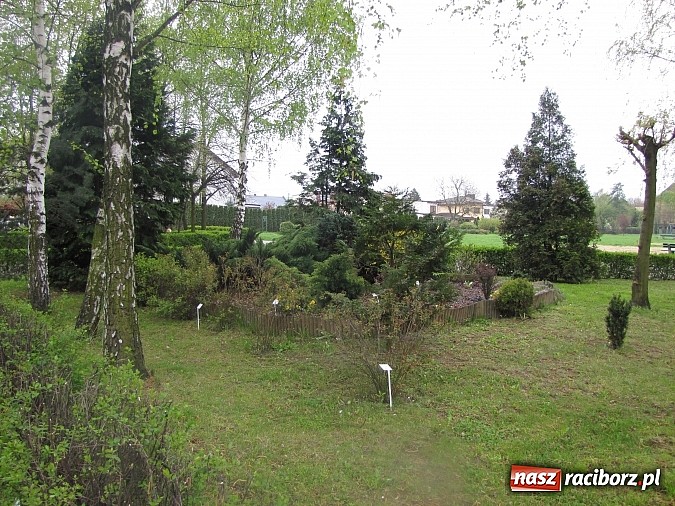 Zdjęcie w galerii na portalu naszraciborz.pl: Kolejne dwie miejskie szkoły czekają na duży remont wiadomości z regionu