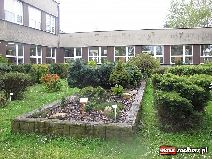 Zdjęcie w galerii na portalu naszraciborz.pl: Kolejne dwie miejskie szkoły czekają na duży remont wiadomości z regionu