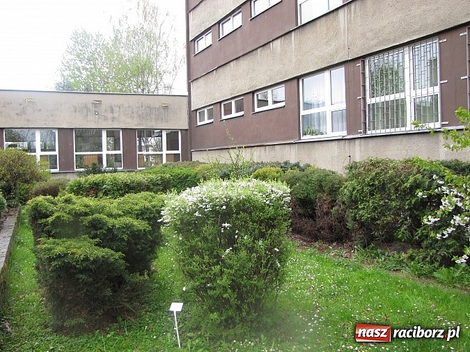 Zdjęcie w galerii na portalu naszraciborz.pl: Kolejne dwie miejskie szkoły czekają na duży remont wiadomości z regionu