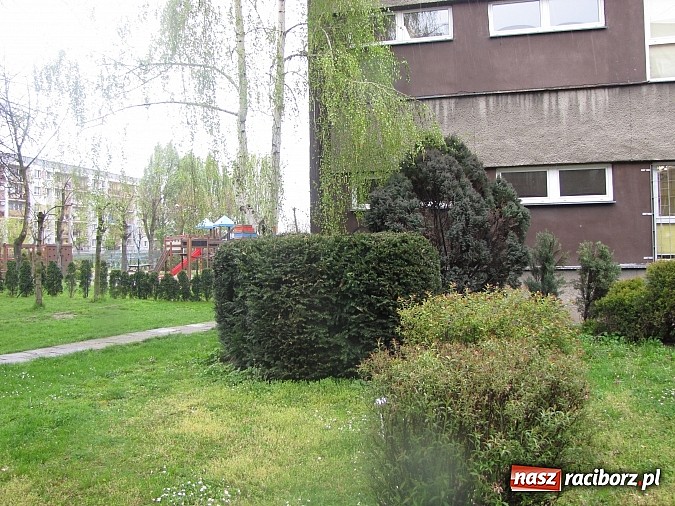 Zdjęcie w galerii na portalu naszraciborz.pl: Kolejne dwie miejskie szkoły czekają na duży remont wiadomości z regionu