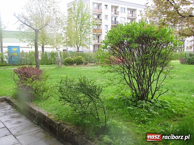 Zdjęcie w galerii na portalu naszraciborz.pl: Kolejne dwie miejskie szkoły czekają na duży remont wiadomości z regionu