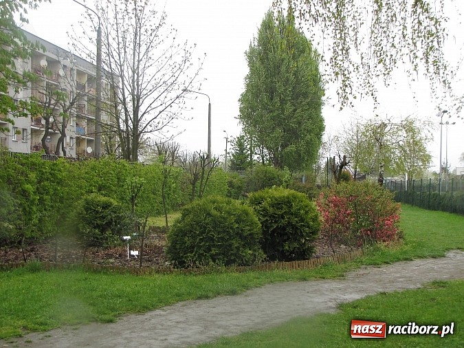 Zdjęcie w galerii na portalu naszraciborz.pl: Kolejne dwie miejskie szkoły czekają na duży remont wiadomości z regionu