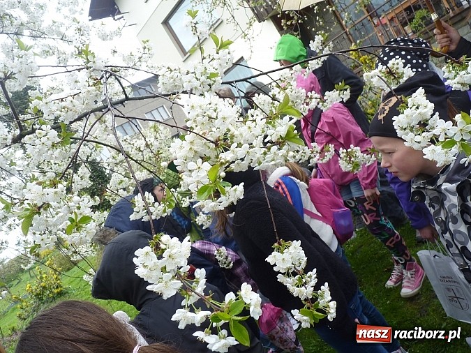 Zdjęcie w galerii na portalu naszraciborz.pl: Tworkowski Comenius - podsumowanie wiadomości z regionu