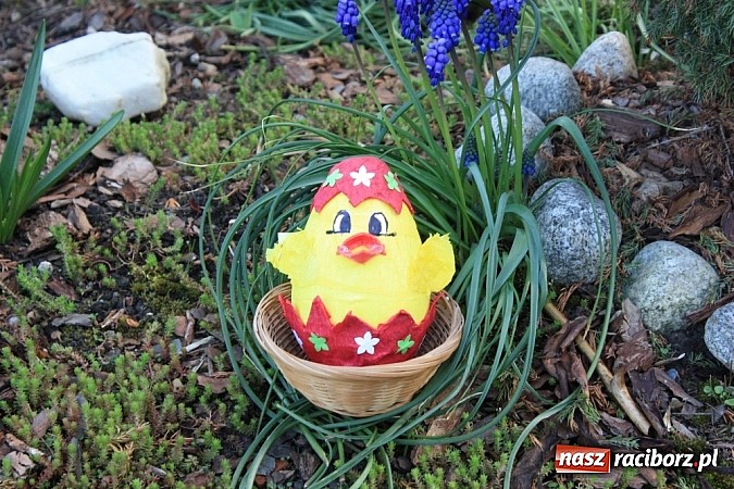 Zdjęcie w galerii na portalu naszraciborz.pl: Znamy najładniejsze krzanowickie pisanki wiadomości z regionu