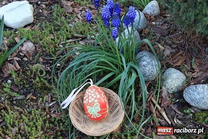 Zdjęcie w galerii na portalu naszraciborz.pl: Znamy najładniejsze krzanowickie pisanki wiadomości z regionu