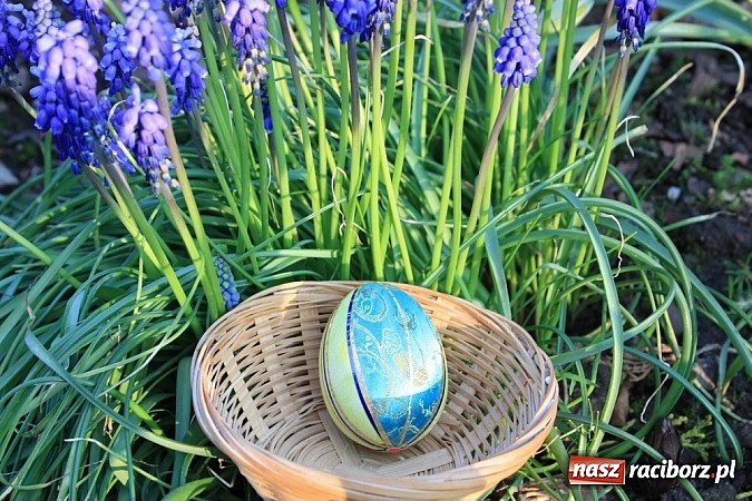 Zdjęcie w galerii na portalu naszraciborz.pl: Znamy najładniejsze krzanowickie pisanki wiadomości z regionu