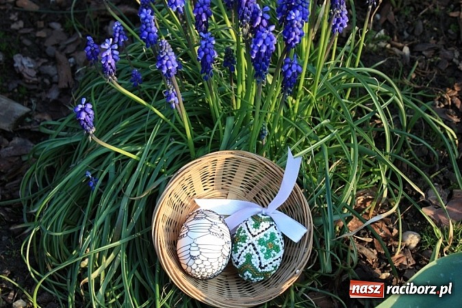 Zdjęcie w galerii na portalu naszraciborz.pl: Znamy najładniejsze krzanowickie pisanki wiadomości z regionu