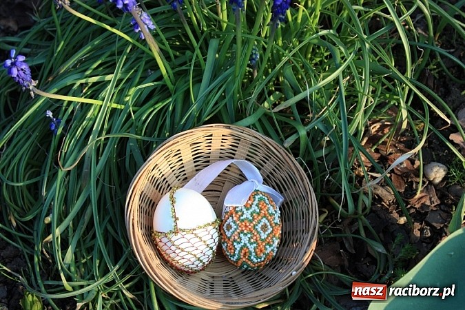 Zdjęcie w galerii na portalu naszraciborz.pl: Znamy najładniejsze krzanowickie pisanki wiadomości z regionu
