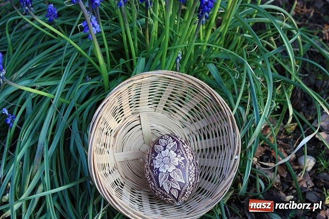 Zdjęcie w galerii na portalu naszraciborz.pl: Znamy najładniejsze krzanowickie pisanki wiadomości z regionu