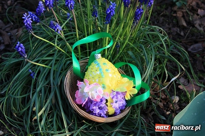 Zdjęcie w galerii na portalu naszraciborz.pl: Znamy najładniejsze krzanowickie pisanki wiadomości z regionu